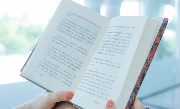 印尼金光集團(tuán)公司簡介（7篇范文）